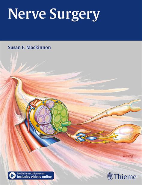 Nerve Surgery Uk Susan Mackinnon 9781588905130 Books