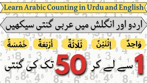 Arabic Counting 1 To 50 Arabi Ginti 1 Se 50 Tak Arabic Counting