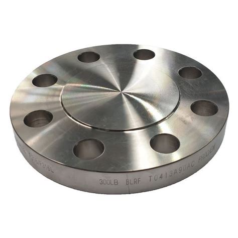 150NB CL300 R F BLIND FLANGE ASTM A182 F316L Prochem