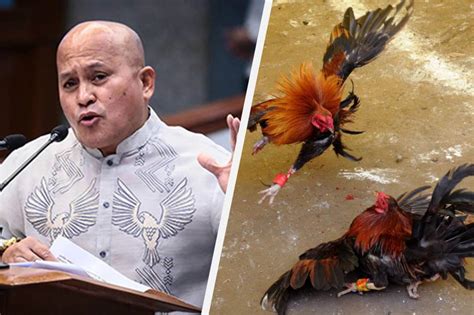 Dela Rosa I Regulate Ang E Sabong Imbes Na Ipahinto Abs Cbn News