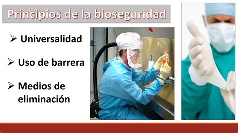 Condiciones Medio Ambiente De Trabajo Bioseguridad En El Mbito