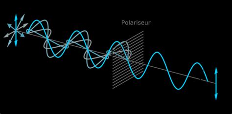 Schéma de la polarisation d une lumière non polarisée au passage d un