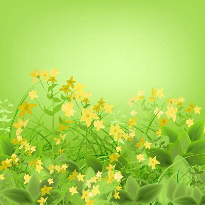 Greengrass Yellowflowers Stock Illustration - Download Image Now - Abstract, Backgrounds, Blue ...