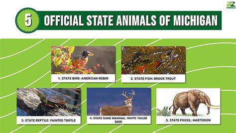 Discover the 5 Official State Animals of Michigan - A-Z Animals