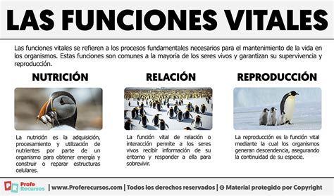 Funciones Vitales De Los Seres Vivos