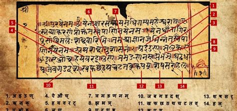 What Is Shiv Sutra नृत् वस नतनराजा जो ननाद कार्यं नवपंचवारम उद्धतुर्कामः सनकादिसिद्ध ऐनतद समेमे