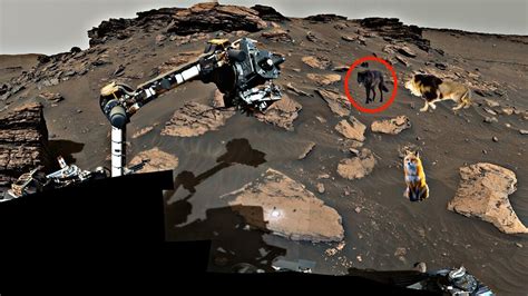 Mars Rover Send New Video Footage Mars Updates Perseverance Rover