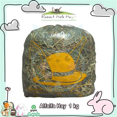 Jual Alfalfa Hay 1 Kg Rabbit Hole Hay RHH Makanan Kelinci Rumput Hay