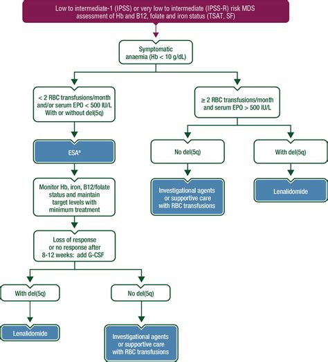 Management Of Anaemia And Iron Deficiency In Patients With Cancer Esmo