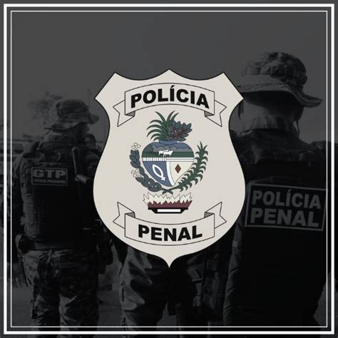 Pacote De Simulados Concurso Ppgo Policial Penal