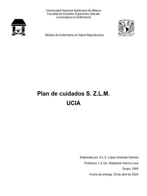 Plan De Cuidados S Z L M Descargar Gratis Pdf Sangre El Embarazo