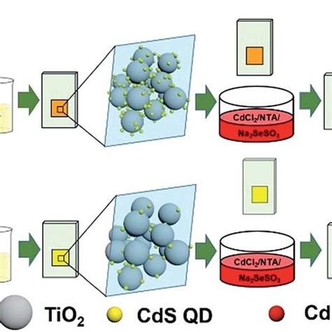 Scheme 1 Schematic Fabrication Process Of Tea Cds Cdse A And Cds Cdse Download Scientific