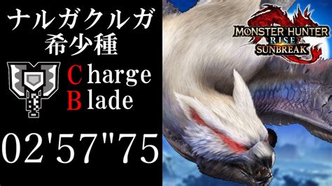 ナルガクルガ希少種 025775 チャージアックス ソロlucent Nargacuga Charge Blade Solo【モンハン