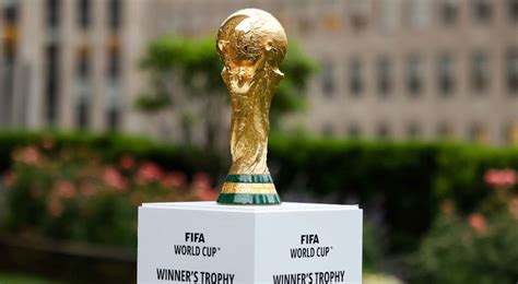 Fifa World Cup Betting Guide The Official Priceperplayer Blog