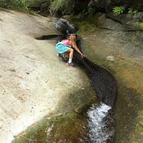 Packwood Trail Project Explore Lewistalkwa