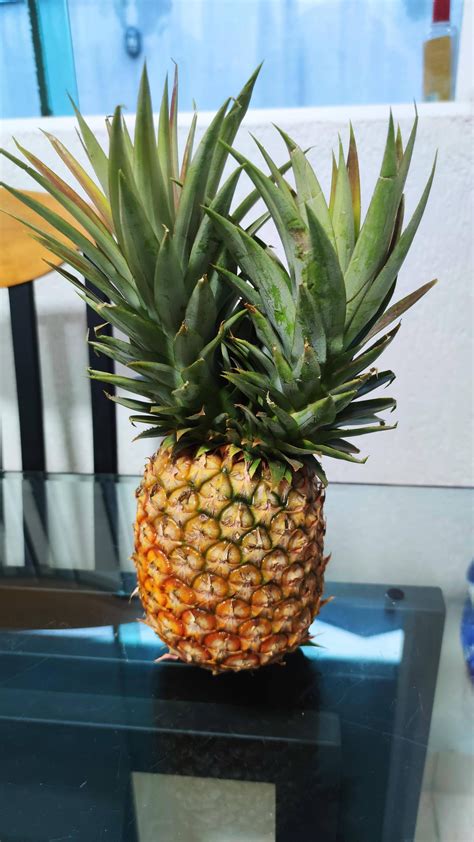 This Double Crown Pineapple Ive Found Today Rmildlyinteresting