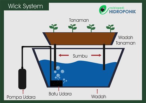 Gambar Hidroponik Sistem Wick - Homecare24