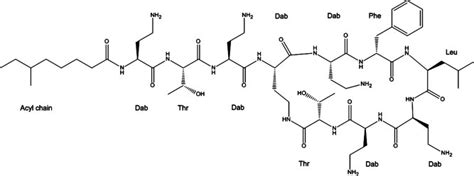 Polymyxin B Structure Formed By A Cycloheptapeptide With 3 Positive Download Scientific