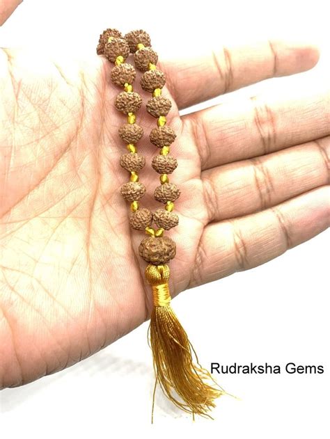 7 Mukhi Rudraksha Mala 108 1 Genuine Seven Facet Rudraksha Beads Long