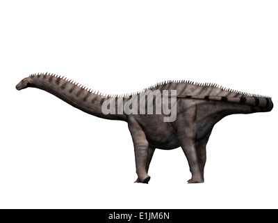 Apatosaurus Excelsus A Prehistoric Era Dinosaur From The Jurassic