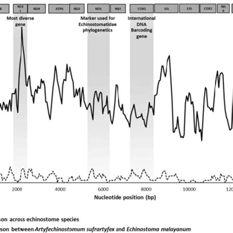 Sliding Window Analyses Showing Genetic Divergence Across The