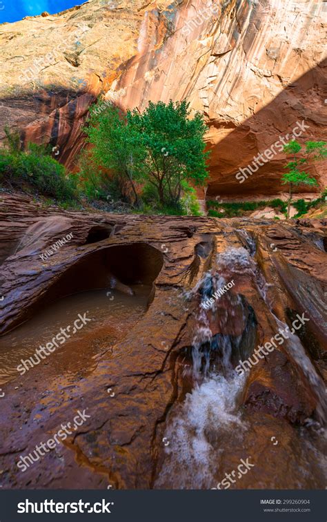 Beautiful Cascade Coyote Gulch Grand Staircase Stock Photo