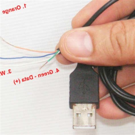 Ala Oficial Recoger Hojas El Cable Blanco Es Positivo O Negativo Enlace Víctima Intrusión