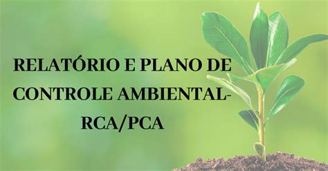 Relat Rio E Plano De Controle Ambiental Rca Pca Raz O Consultoria