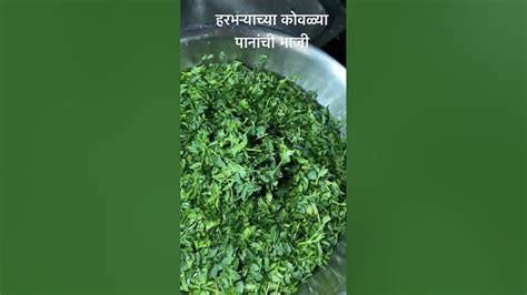 हरभऱ्याच्या कोवळ्या पानांची भाजी Harbhara Bhaji चने की भाजी Recipe