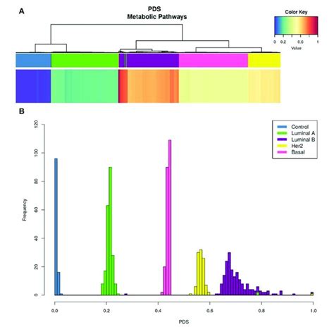 Kegg Metabolic Pathways Pds In Breast Cancer Subtypes Upper