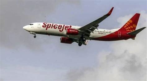 Dgca Orders Spicejet To Operate 50 Of Approved Flights For 8 Weeks