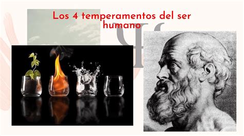 Los 4 Temperamentos Del Ser Humano Youtube