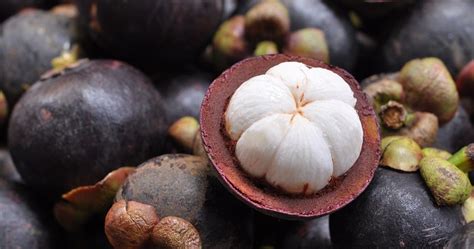 Mangosteen - Queen of Tropical Fruits