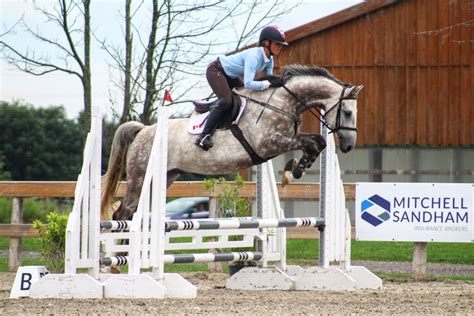 Sport Horse Nation Spotlight: Dappled Greys for Days | Eventing Nation ...