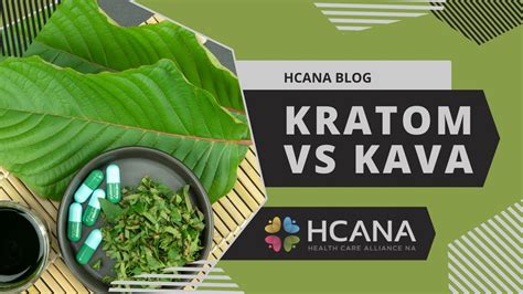 HCANA Blog Kratom Vs Kava YouTube