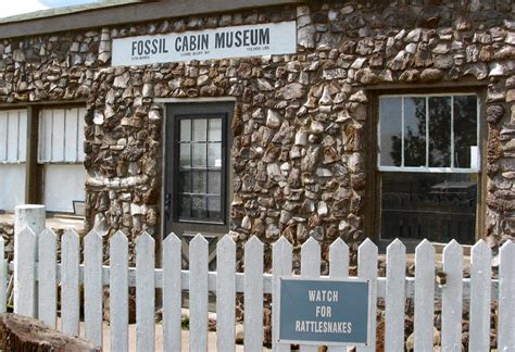 30 Most Impressive Fossil Sites In North America Top Value Reviews
