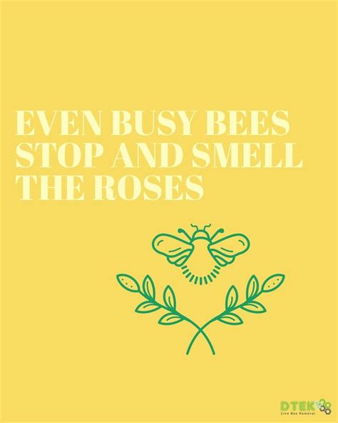 Even Busy Bees Stop And Smell The Roses Bee Quotes Busy Bee