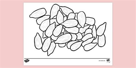 Free Seeds Colouring Sheet Colouring Sheets Twinkl