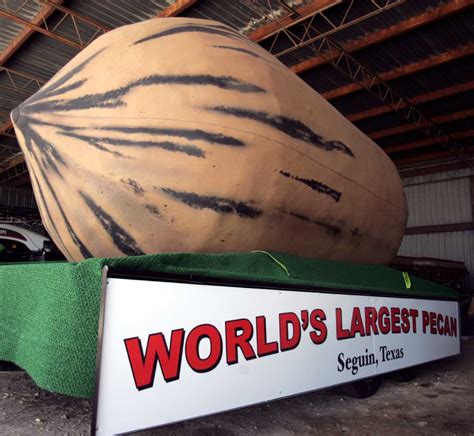 Where In The World Is The Worlds Largest Pecan Stuckeys