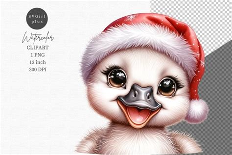 Baby swan clipart, Christmas clipart, Watercolor clipart