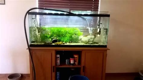 How To Fill Large Aquarium With Water A Comprehensive Guide