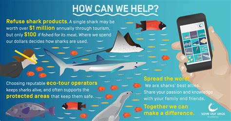 How You Can Help Sharks Save Our Seas Foundation