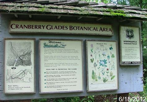 Cranberry Glades Botanical Area Monongahela National Forest Hillsboro West Virginia