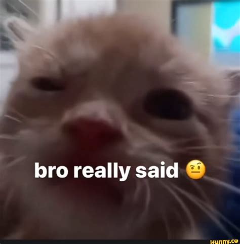 Bro Really Said Ifunny Brazil