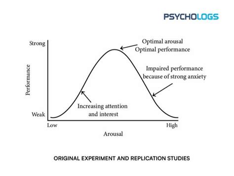 What Is Yerkes Dodson Law