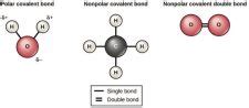 Chemical Bonds MHCC Biology 112 Biology For Health Professions