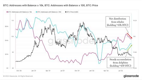 The Futurizts Formerly Futuristsmy On Twitter Whales K Btc