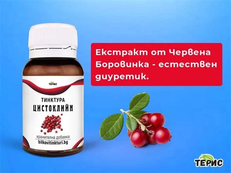 Натурални методи за лечение на Едема | Билкови тинктури Терис