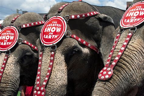 Ringling Brothers Elephants Give Final Performance Condé Nast Traveler