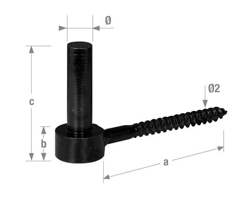 Gonds Et Pentures Accessoires De Volets Gond A Visser Acier Epoxy Noir